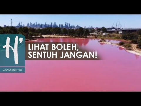 Video: Bagaimana danau hillier berubah menjadi merah muda?