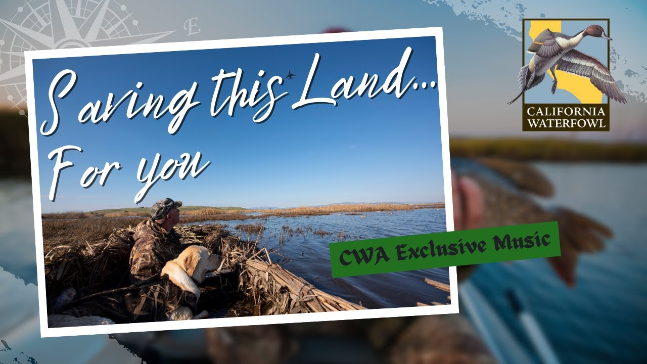 Saving this Land - A tribute to Cal Waterfowl & the next generation