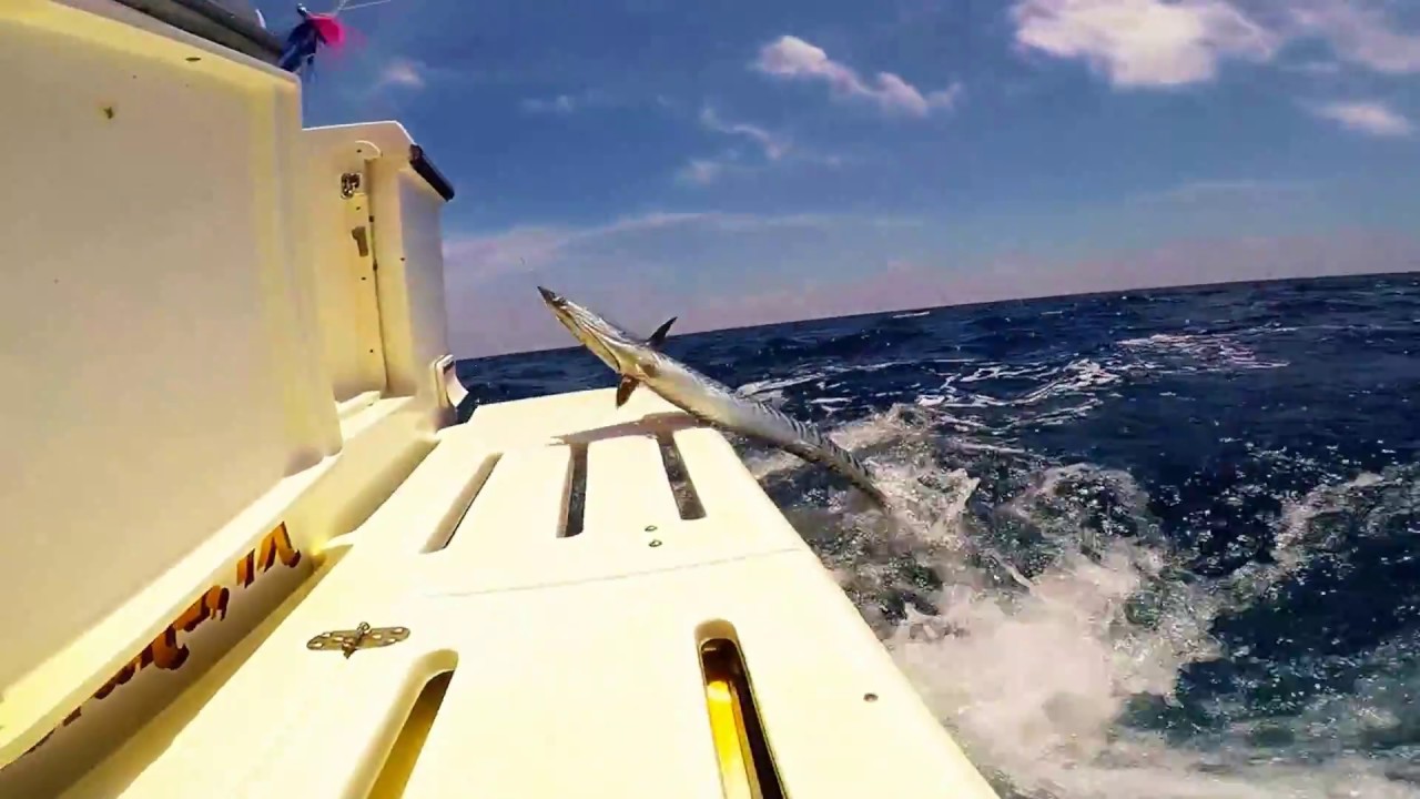 WAHOO CATCH SPI YouTube