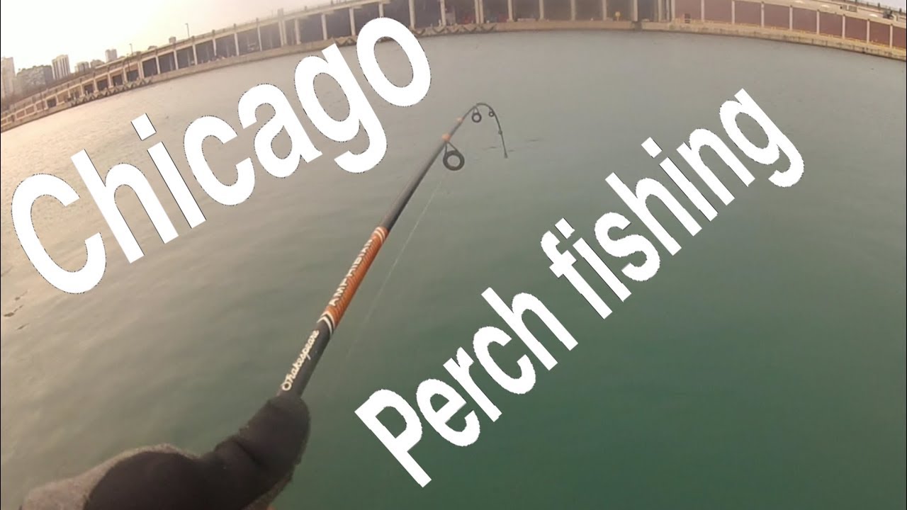 Navy Pier perch fishing (2018) (underwater footage)