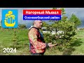 Нагорный Мывал — урочище на месте бывшего села (29.04.2024)