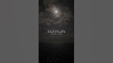 القرآن الكريم غذاء الروح #اكسبلور