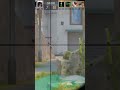 #edit #standoff2