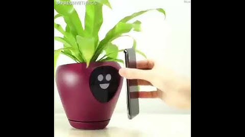 Making Slime with Funny Balloons - Satisfying Slime video