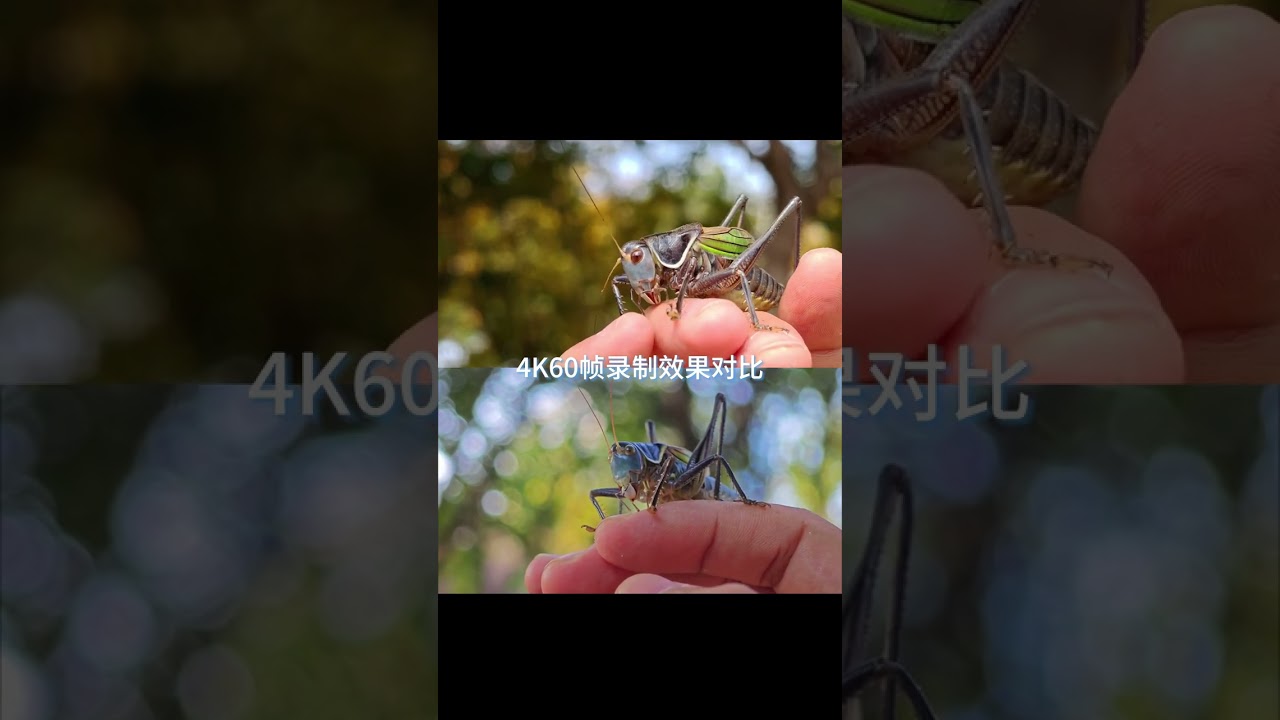 the Nubia z70 ultra vs Xiaomi 14 ultra camera testing 💀👽☠️ !