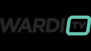 Турнир по StarCraft II: Legacy of the Void (LotV) WardiTV Mondays #83 (20.04.2026)