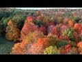 When Do The Leaves Change Color In Gatlinburg Tennessee