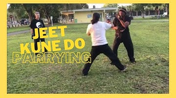 "Mastering the Art of Defense: Jeet Kune Do Punch Parrying"