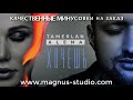 Tamerlan Alena - Хочешь минусовка фрагмент demo