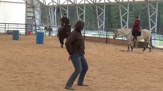 Cue the Rein Back From Your Seat