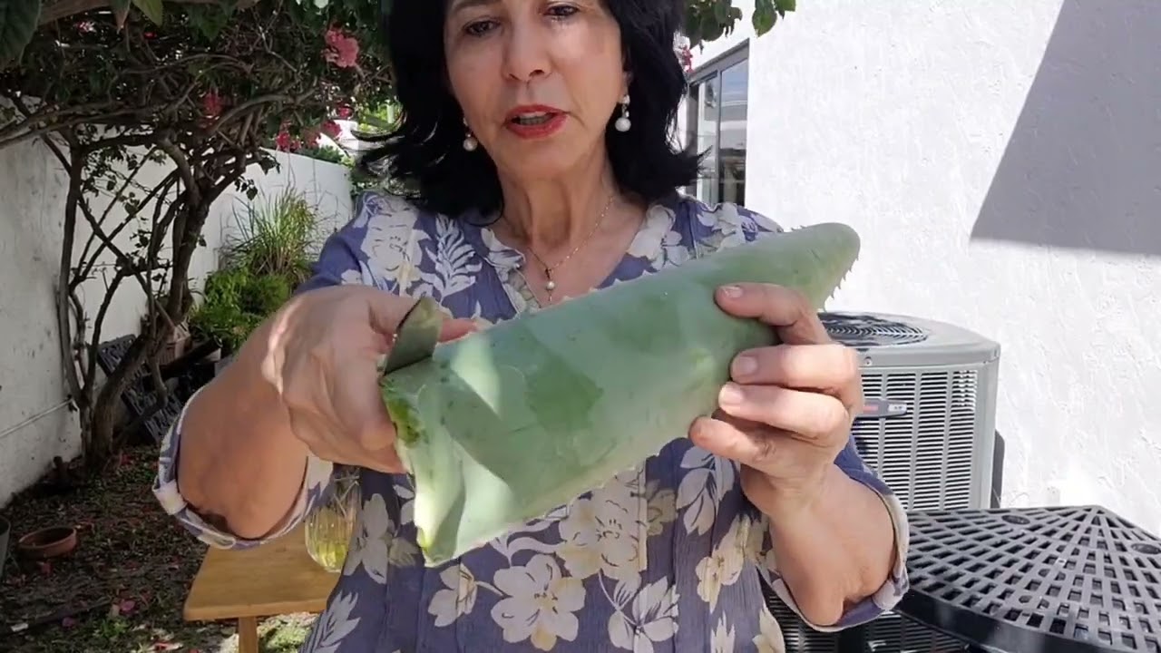 Como Remover a Alona da Aloe Vera: Passo a Passo Simples e Eficiente