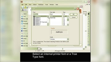 Zebra Designer Software Creating a text with fixed data