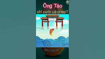 Tại sao ông Táo chỉ cưỡi "Cá Chép" về Trời
