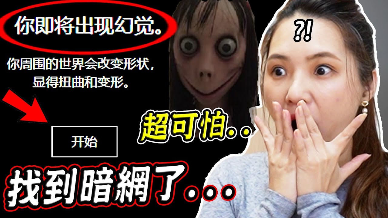 我們找到暗網了？我們找到了那些最令人不安的網站...【希露弟弟啃雞腿】