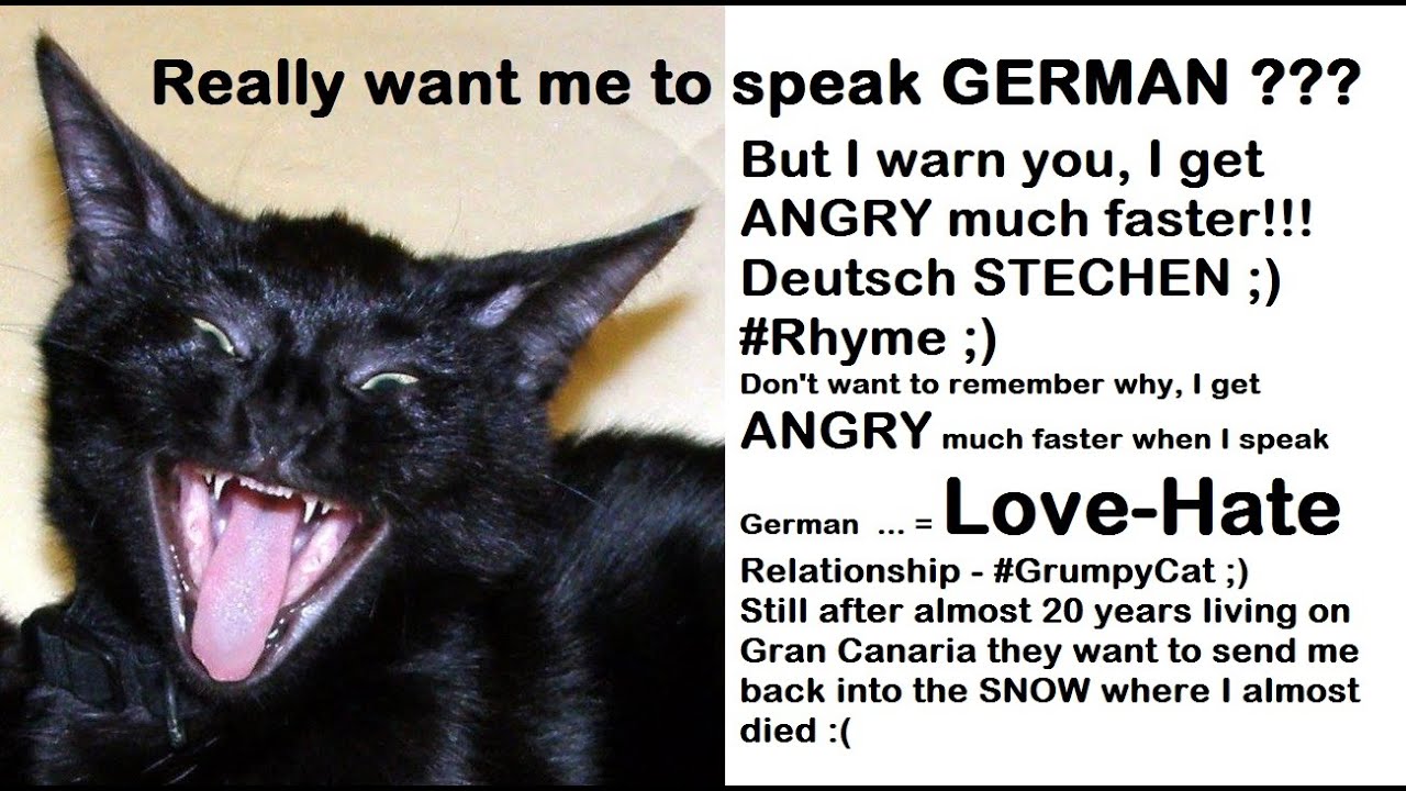 InnocentCryptoKitty 023 Gothic Music German Rammstein Germany Berlin DCBP Bitcoin Startup PR Deutsch