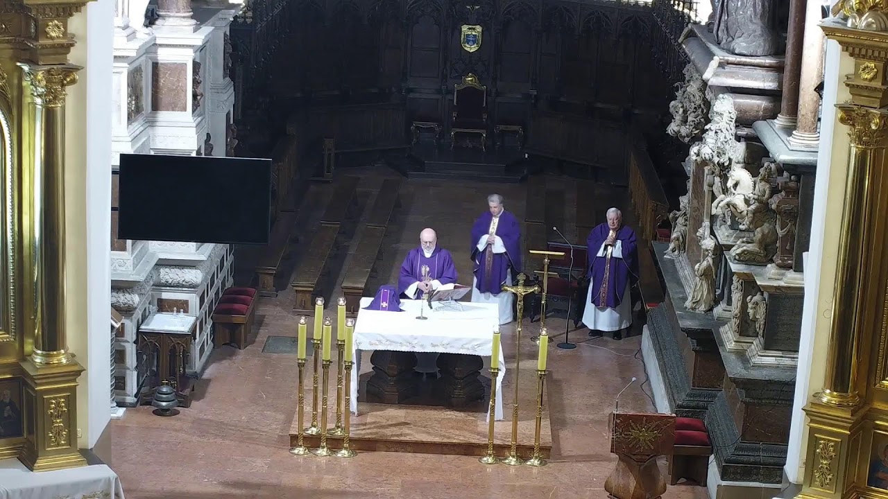 Transmisja z Katedry Tarnowskiej