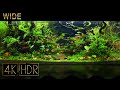[Wide] Aquascape • Fixed 3hours 4K HDR 60fps • Water sound | Subspace of the forest