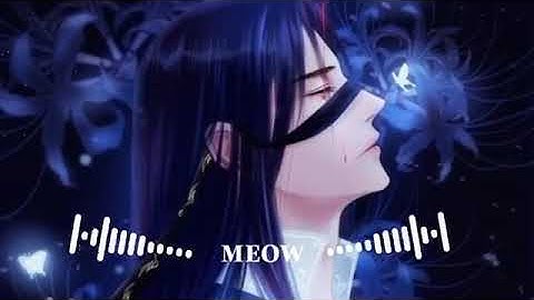 你的万水千山