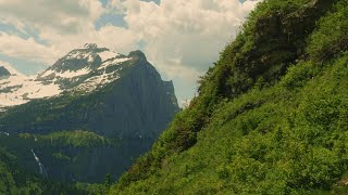 A Film About Figuring It Out