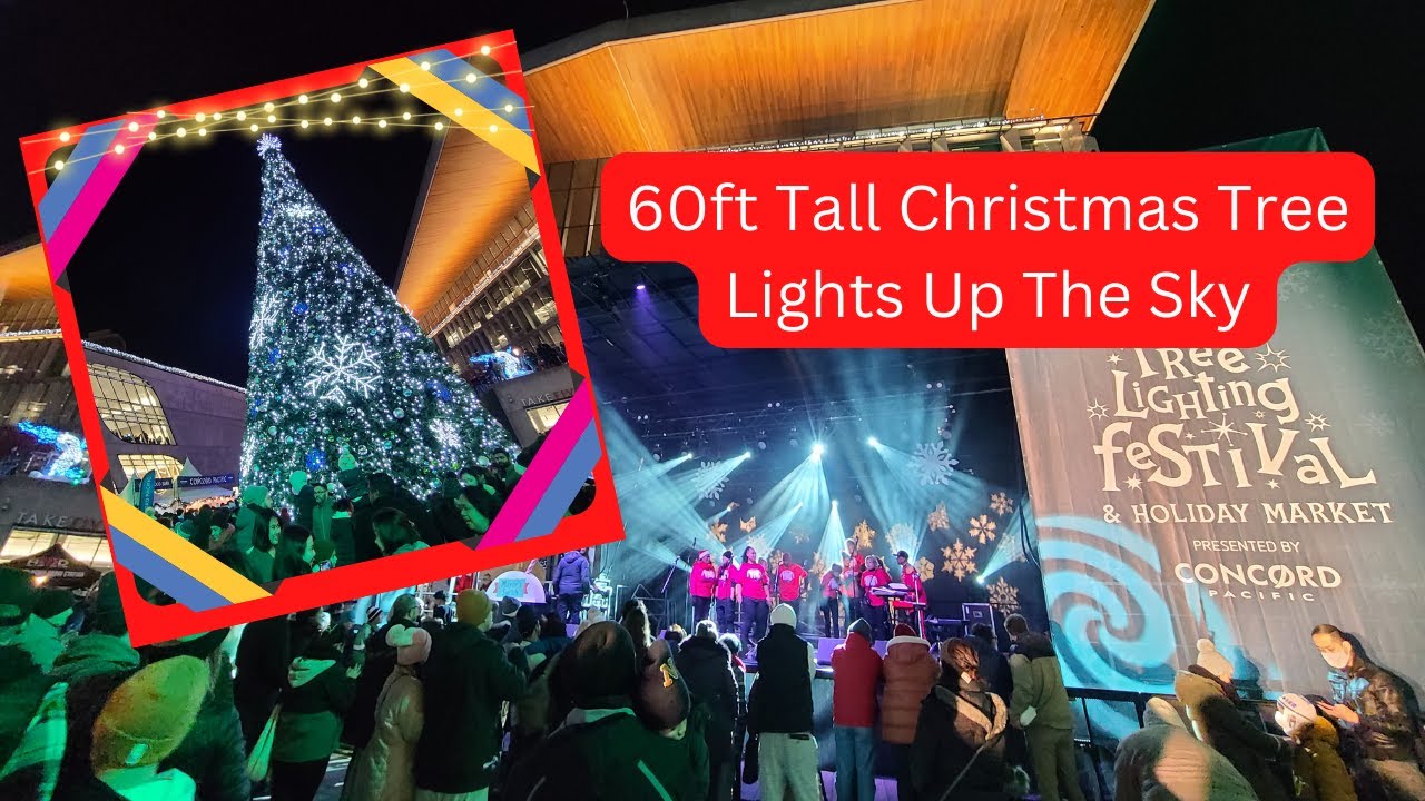 Surrey Tree Lightning Festival 2022 Christmas Celebration Christmas