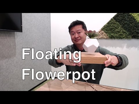 Video: Levitating Pot: Features Of Flying Plant Flowerpots. How Does A Magnetic Pot Floating In The Air Work?