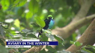 Nashville Zoo's aviary in the winter