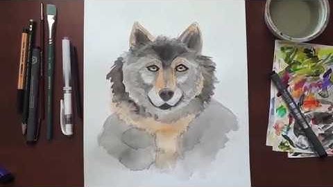 Nature Journaling with Karen Episode 1