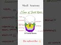 Cranial and facial bones . skull Anatomy 💀