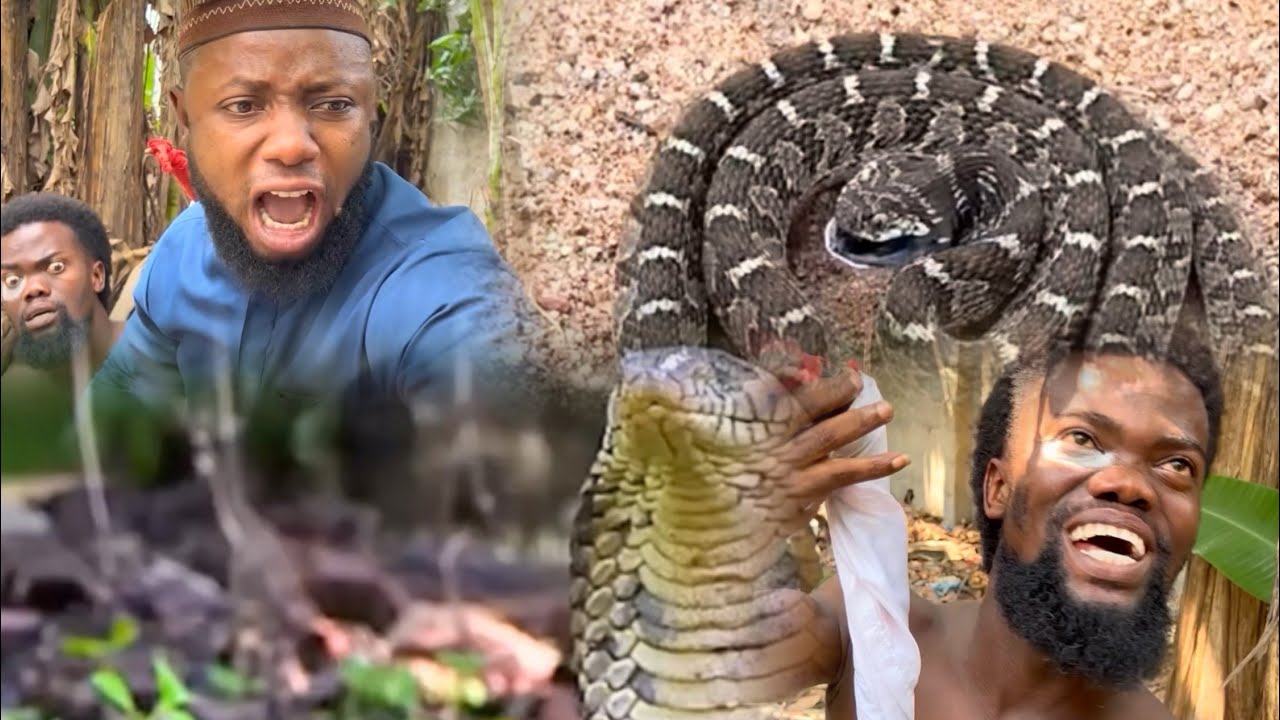 Baba and the Snake - YouTube