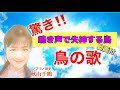 鳥の詩 杉田かおる 昭和名曲 驚き自分の声で失神する鳥の動画付き by 秋山千鶴 音楽表現家 ソプラノ歌手