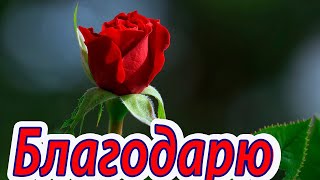 Стихи христианские с глубоким смыслом 🙏🌹