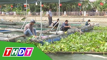 Hội thi câu cá Sông Tiền | THDT
