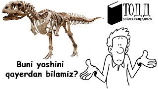 Qazilmalar Yoshi Qanday Aniqlanadi?