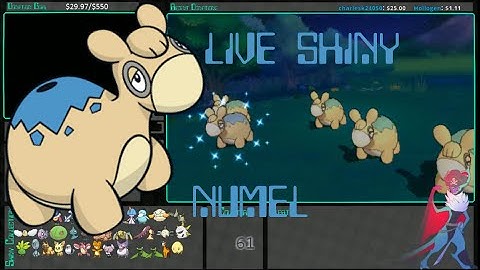 Live Shiny Numel at 61 Horde Encounters Omega Ruby