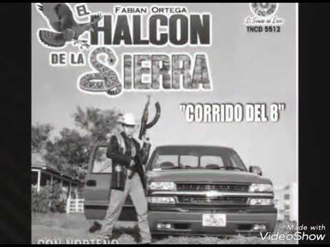Halcón De La Sierra - Corrido Del 8 - YouTube
