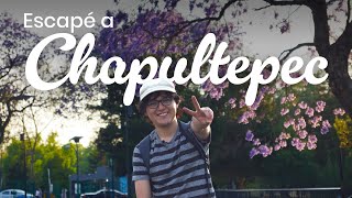 Hoy escapé a Chapultepec (2do lugar - Concurso Parques en Corto)