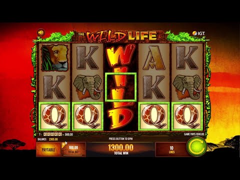 Up to $200/Spin on The Wild Life