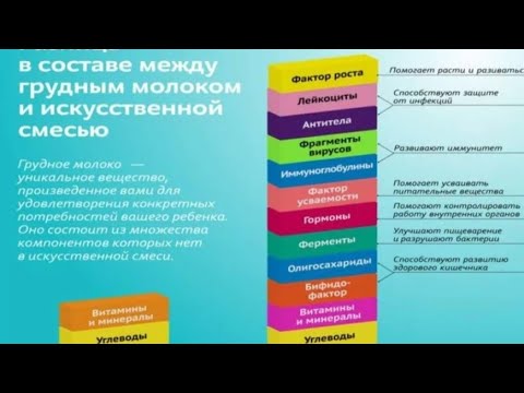 Состав грудного молока.                22 апреля 2023 г.