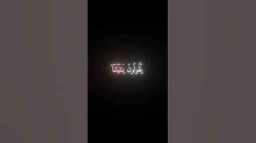ما تيسر من سوره الاحزاب || ياسر الدوسري