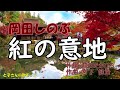 「紅の意地」岡田しのぶ と子さん歌わせていただきました。ヨロン!