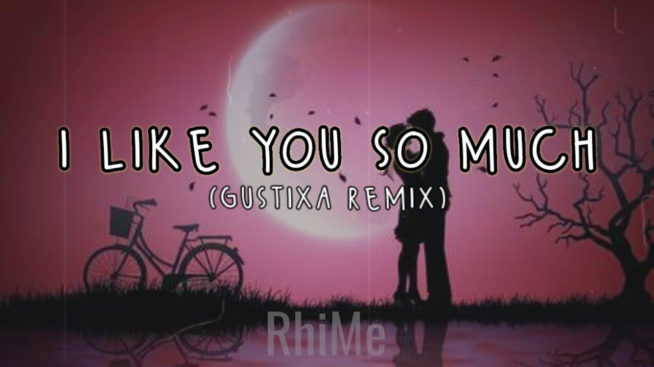 I Like You So Much Remix