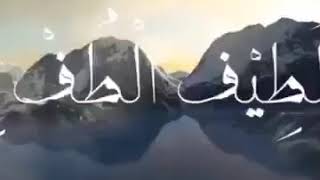 يا رحمن أرحمنا .. يا رزاق أرزقنا .. يا لطيف ألطف بنا .. يا الله