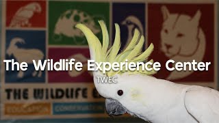 TWEC | The Wildlife Experience Center | Zeeshan Haider Park | Karachi street View | 26th May 2024