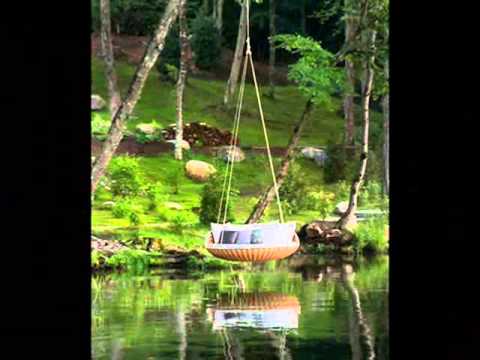 რეალობის  1 %