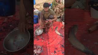 Very Excellent Fish Cutting Skills #youtubeshorts #fishcuttingshorts