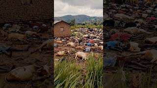 😱 Lake Nyos Mystery: Jab Hawa Hi Maut Ban Gayi