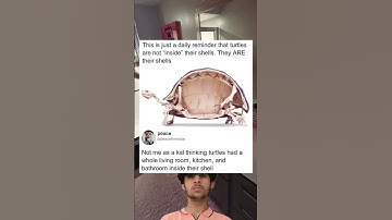 This is just a daily reminder that turtles are not "inside" their shells. They ARE their shells