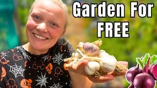 видео: БЕСПЛАТНЫЕ методы достижения самодостаточности, которые знали ваши бабушки и дедушки картинка: БЕСПЛАТНЫЕ методы достижения самодостаточности, которые знали ваши бабушки и дедушки