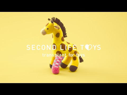 Second Life Toys Intro