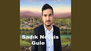 Gule